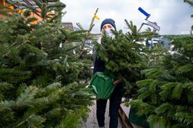 Christmas tree seller