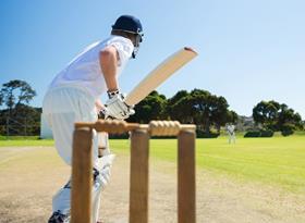 Cricket_getty