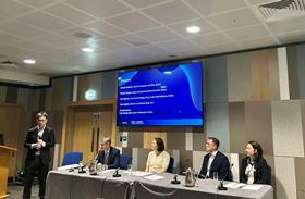 Protection Gaps Panel