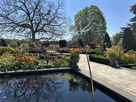The Grove