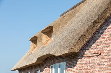 thatchedroof