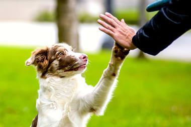 GettyImages-1306150896 (1)