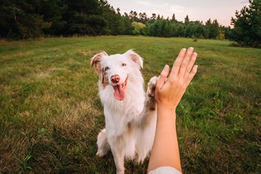 highfive6