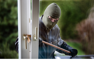 Burglar & theft