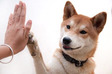 high five