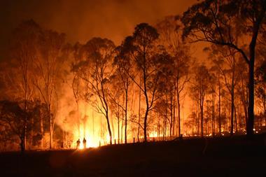 wildfire