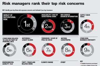 Top risks graph1