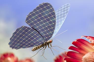 butterfly tech innovation