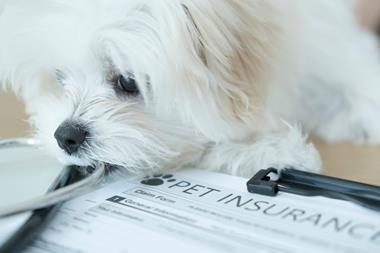 pet insurance fluffy dog