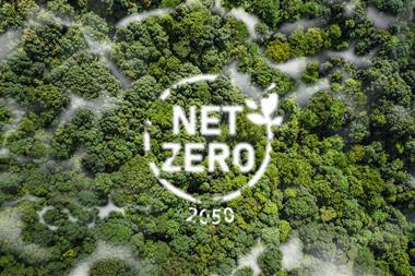 net zero