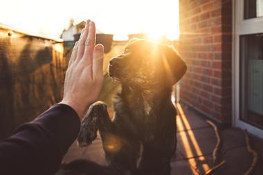 high five