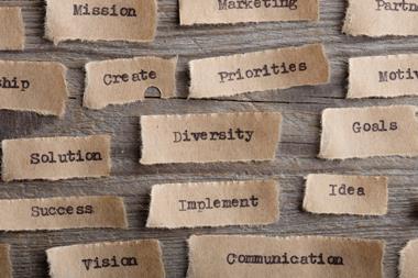 diversity workplace strategy