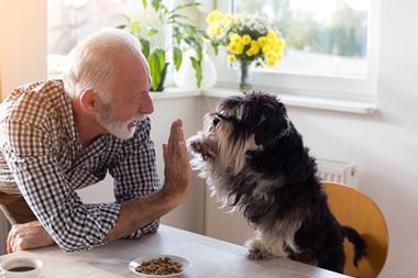 highfive (16)