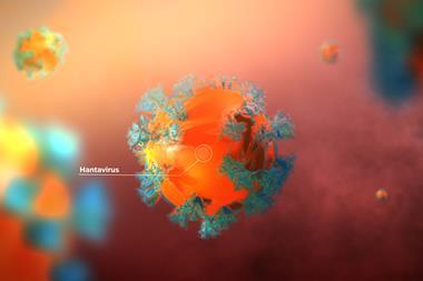 hantavirus