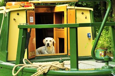 narrowboat, dog