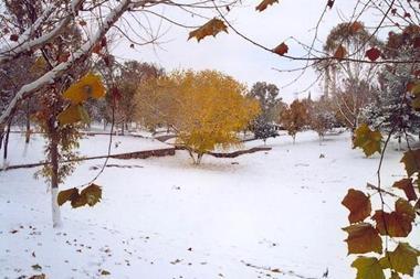 Snow covered fields