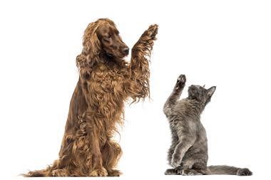 highfive (10)