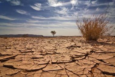 Libyan desert