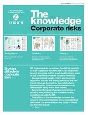 The Knowledge corporate risks