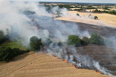 wildfire (2)