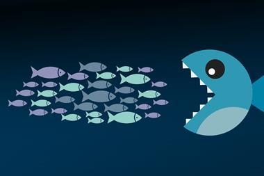 consolidation, fishes
