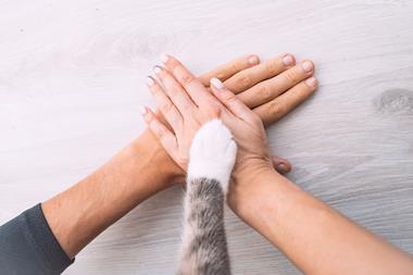 pet handshake