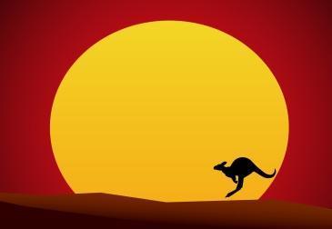 kangeroo in front of glowing orange sun