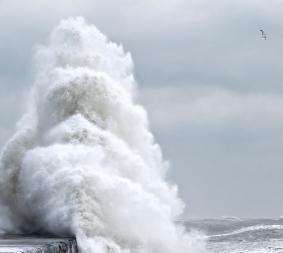 Wave crashing over sea defence
