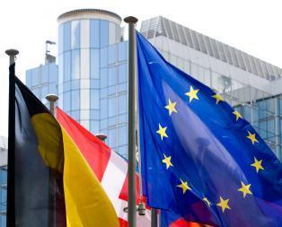 EU Parliament with flags