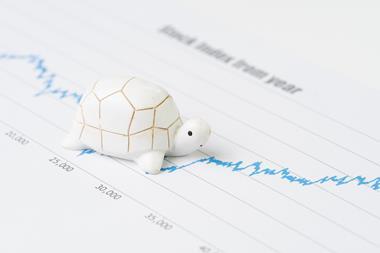 turtle IPO slow financial