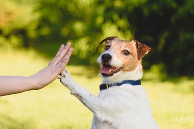 high five