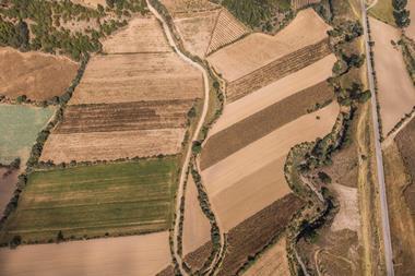 drought (2)