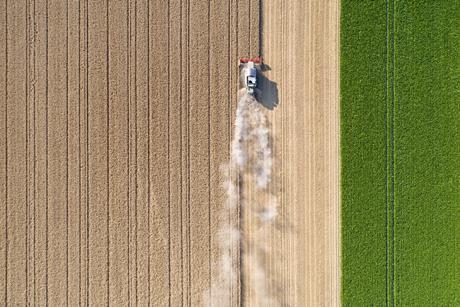 farming, harvest