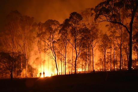 wildfire