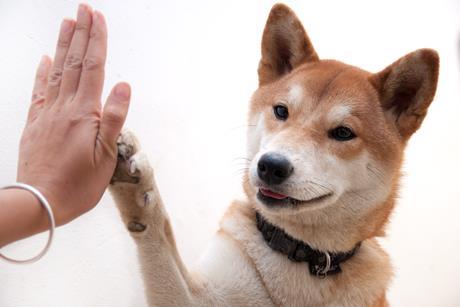 high five