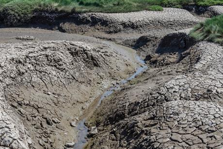 dry river bed