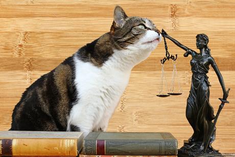 pet legislation