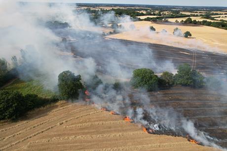 wildfire (2)