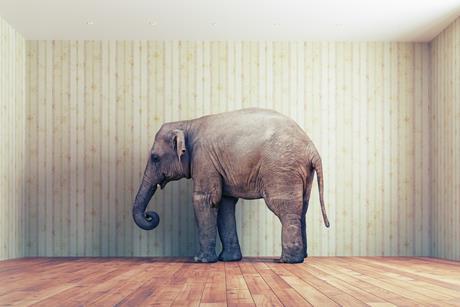 elephant in the room