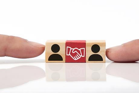 partnership capacity