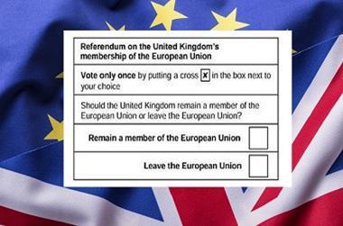 Eu flag voting slip