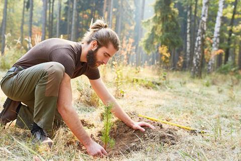 Aviva only BH Plant foresters at the tree for reforestation