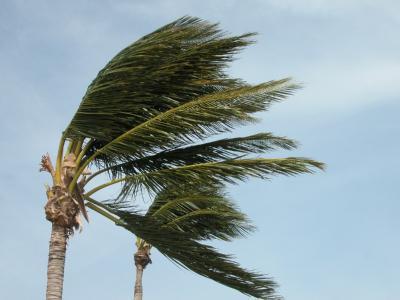 hurricane storm wind cyclone florida