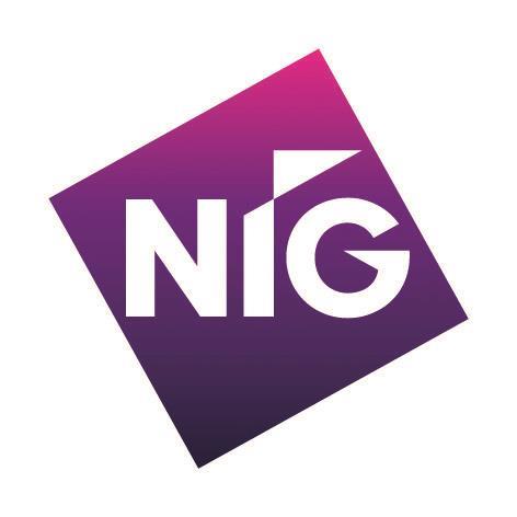 NIG - Insurance Times Awards 2013