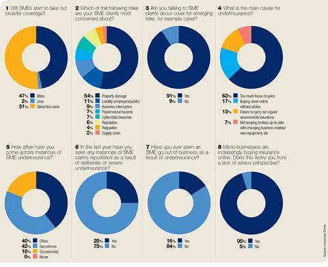 Sme risk surveychart