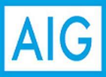 AIG's new logo 