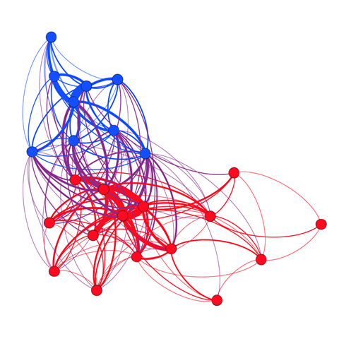 Youth demographic network