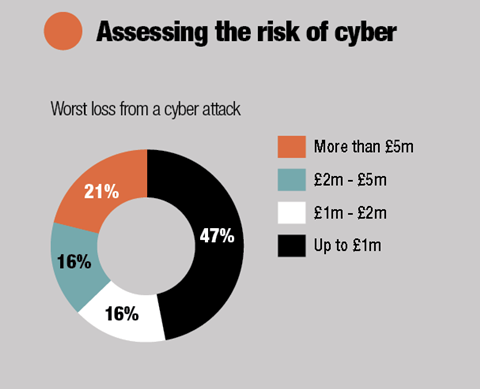 Assessing the risk of cyber